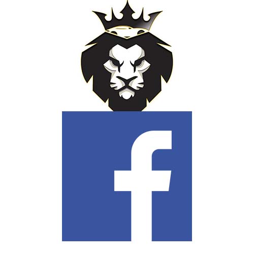facebook facebook
