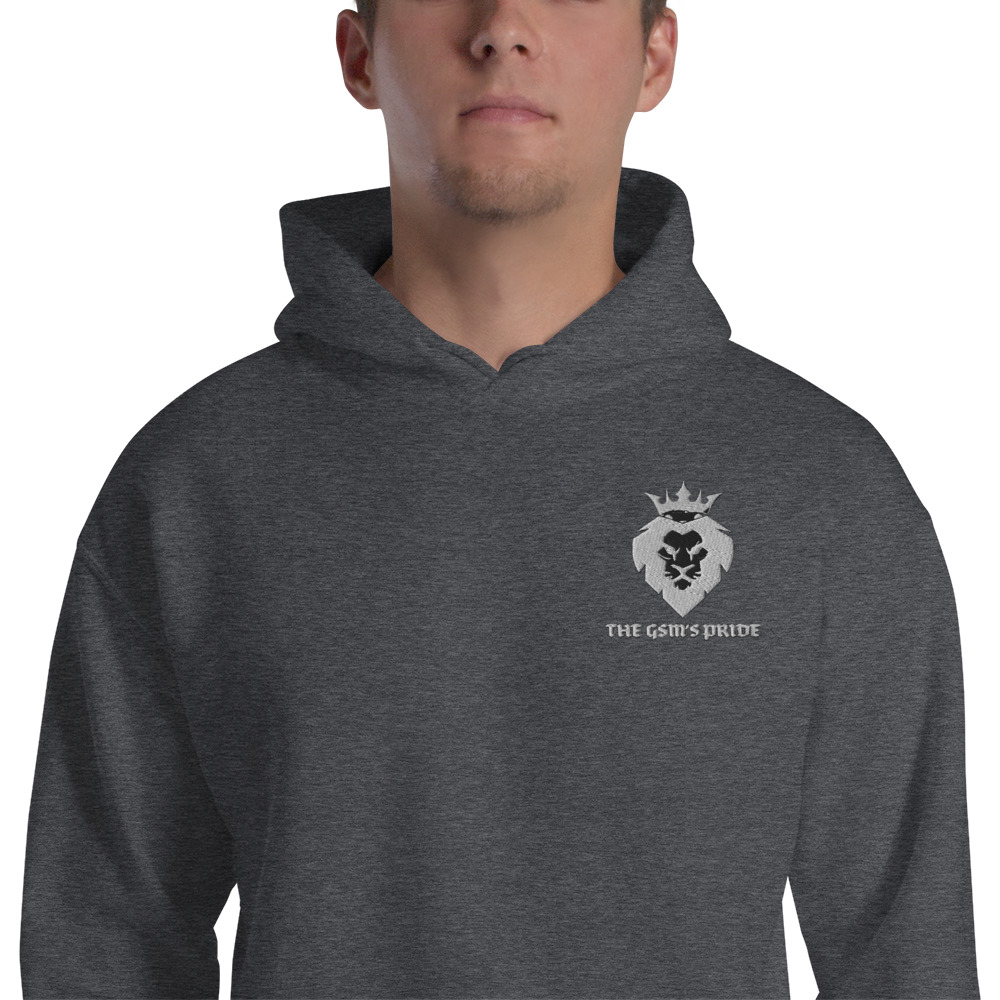 unisex-heavy-blend-hoodie-dark-heather-zoomed-in-60384c7e2769c.jpg