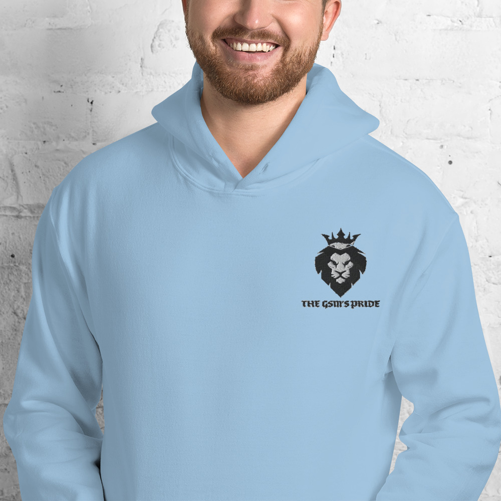 unisex-heavy-blend-hoodie-light-blue-zoomed-in-60384d1c92da4.jpg