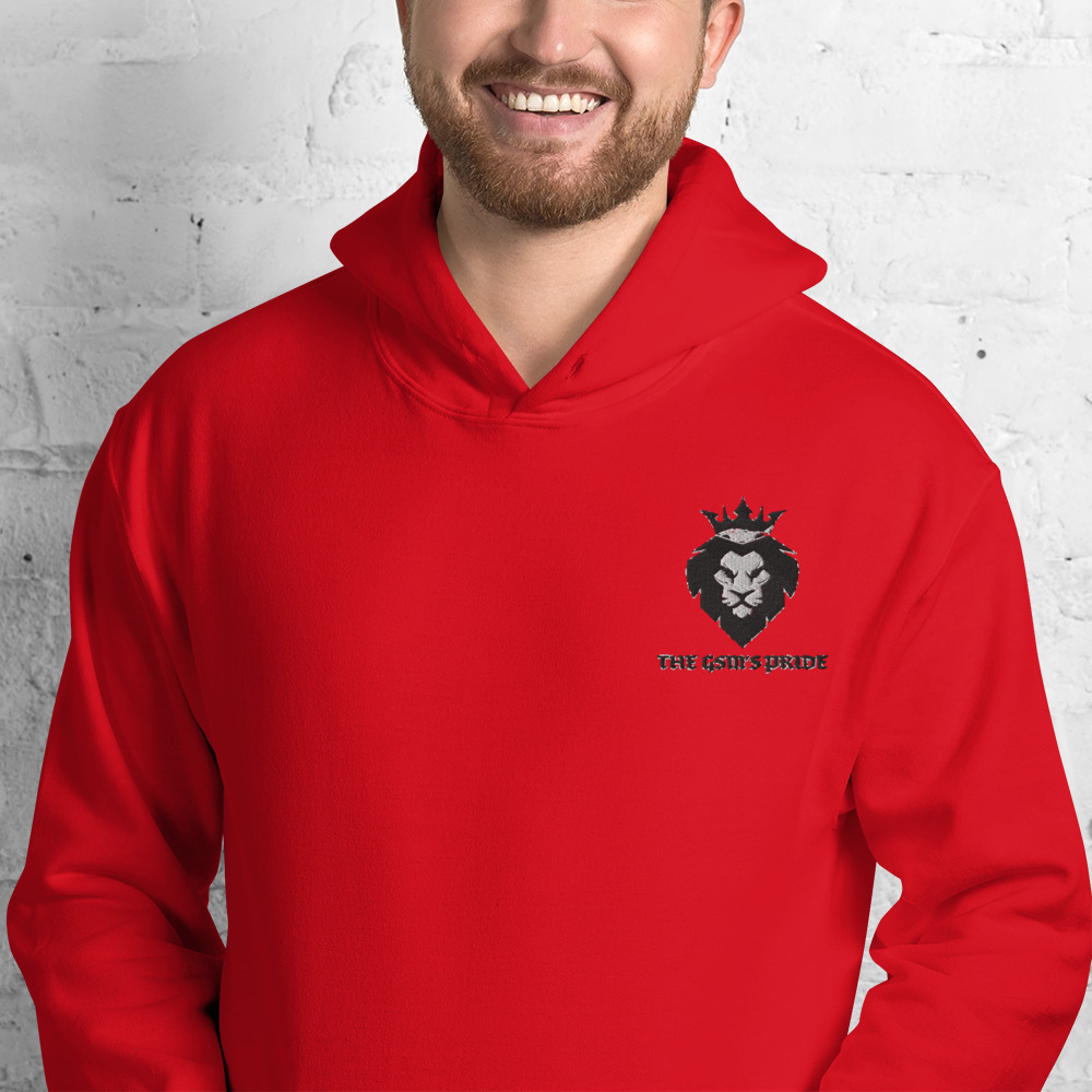 unisex-heavy-blend-hoodie-red-zoomed-in-60384d1c92bff.jpg