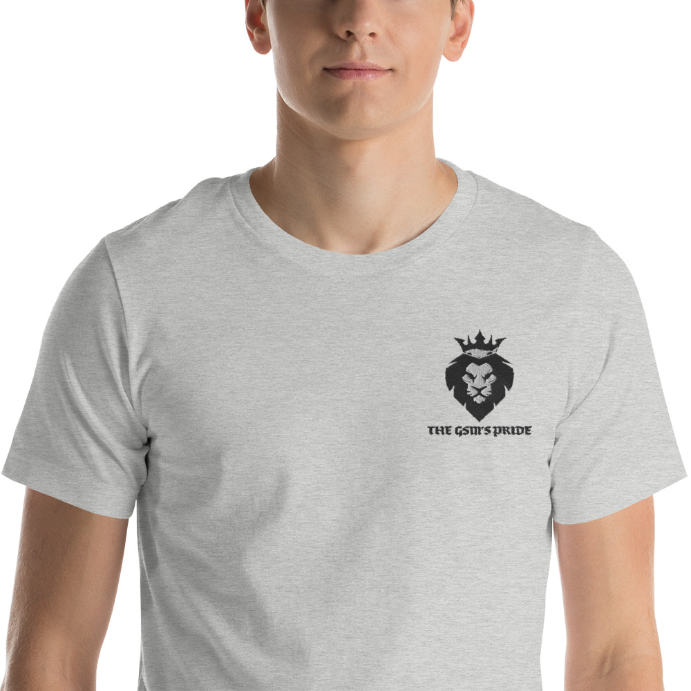 unisex-premium-t-shirt-athletic-heather-zoomed-in-6038372679c0e.jpg