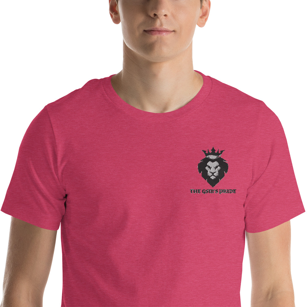 unisex-premium-t-shirt-heather-raspberry-zoomed-in-6038372677634.jpg